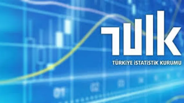 Hanehalkı Tasarruf Oranı 2024'te yüzde 11,3'e Geriledi