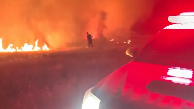 Hatay orman yangını soruşturmasında bir kişi tutuklandı