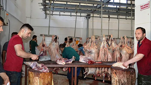 Hayvan kesimhanelerine kamera zorunluluğu getiriliyor