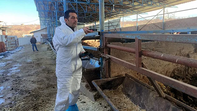 Hayvancılıkta Yeni Dönem: Kapasite Raporları Artık TÜRKVET Üzerinden Verilecek