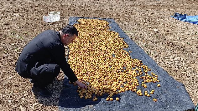 Hekimhan'da Sel ve Heyelan: Kocaözü'nde 200 Tonluk Zarar