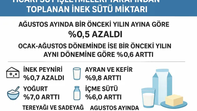 İçme Sütü Üretimi Ağustos'ta Yükseldi: 132 Bin Ton Seviyesinde