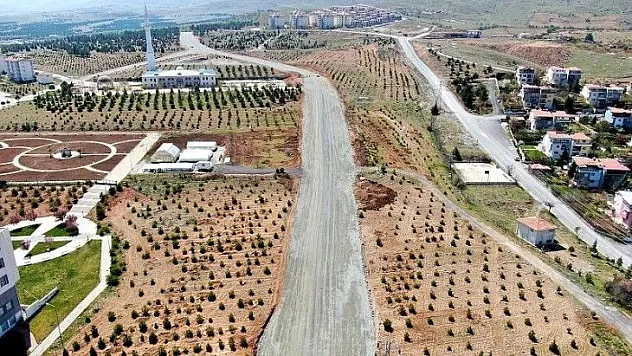 İnönü Üniversitesi İçerisinde 3 Km Uzunluğunda 40 Metre Genişliginde Yol Açıldı