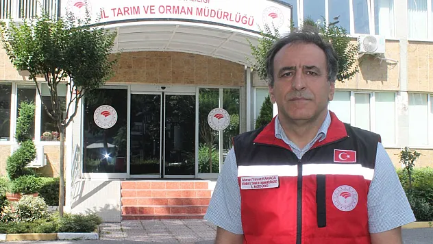 İstanbul'un kurban verileri açıklandı