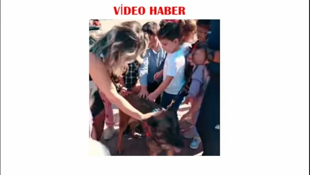 Jandarma'dan Dünya Hayvanları Koruma Günü Etkinliği