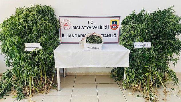 Jandarma'dan uyuşturucu operasyonu