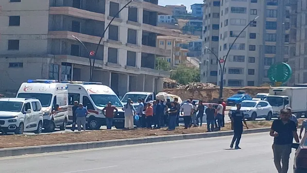 Kamyonet aydınlatma direğine çarptı: 2 yaralı