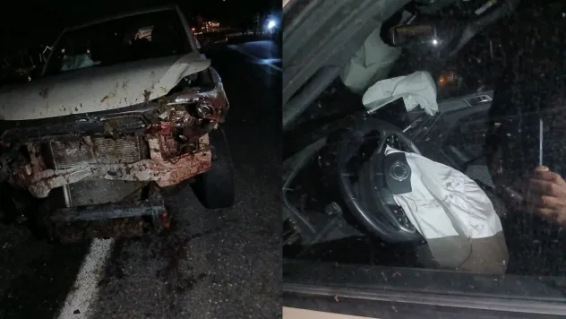 Karakoçan'da Kamyonet Koyun Sürüsüne Çarptı: 30 Hayvan Telef