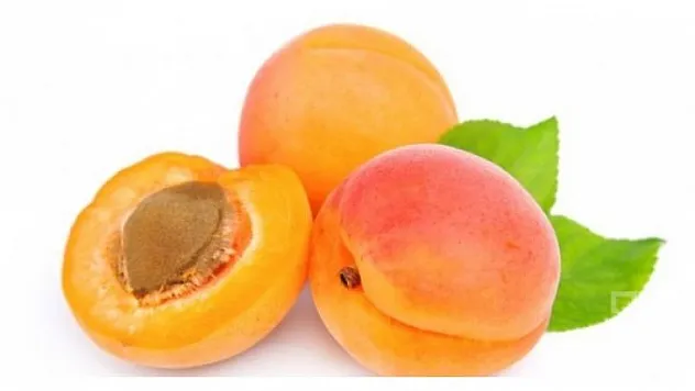 Kayısı verimin yüzde 40'lara varan oranda düşeceği bildirildi