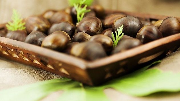 Kestane ihracat yolcusu