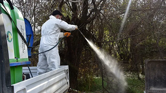 Konteyner Kentlerde  İlaçlama Çalışmaları Yapılıyor