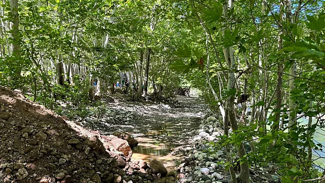 Kozluk Vadisi Kamp Alanları Düzenlendi