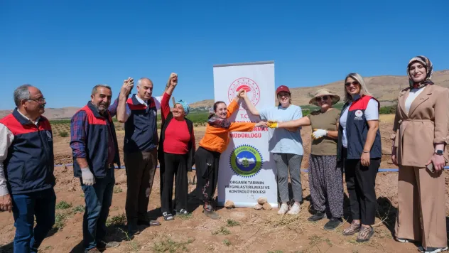 Kuluncak'ta Organik Çilek Üretimi İçin Fide Dağıtımı Gerçekleştirildi