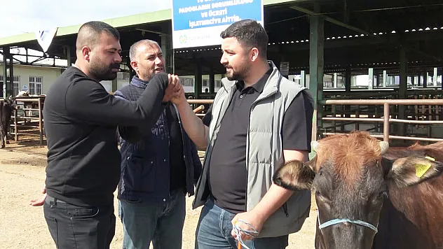 Kurban Bayramı yaklaştı, hayvan pazarlarında renkli görüntüler oluştu