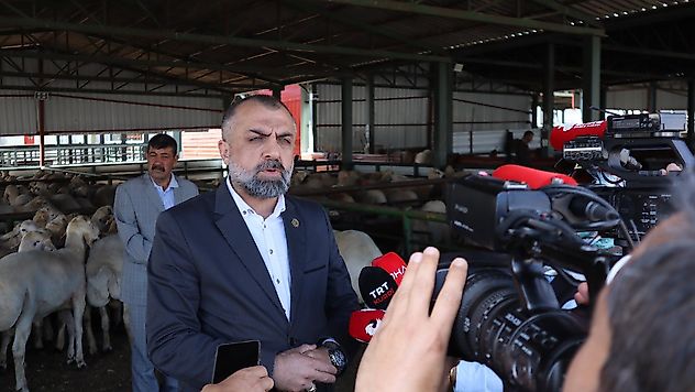 Kurbanlık Fiyatları Açıklandı: Küçükbaş 17 Bin, Büyükbaş 400 Bin TL'ye Kadar Çıkıyor