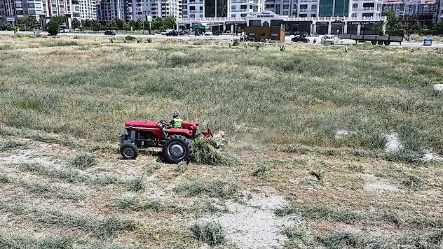 Kuruyan Otlar Temizleniyor, Mahalleler Daha Güvenli Hale Geliyor