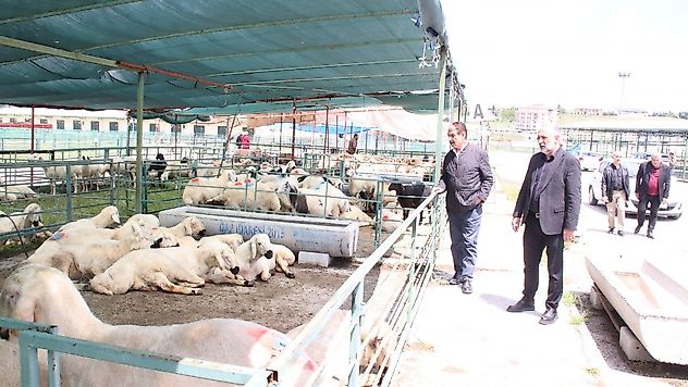Malatya Canlı Hayvan Pazarı'nda '40 Bin Lira Kira' Tepkisi