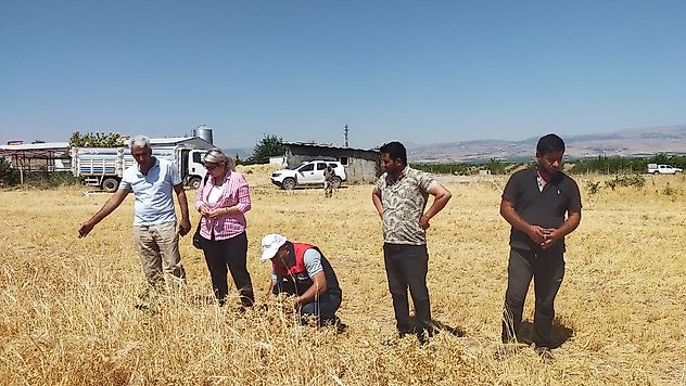Malatya'da 500 Tonluk Nohut Hasadı Hedefi