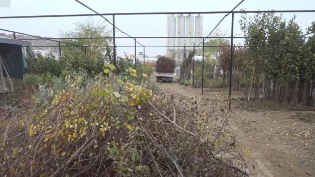 Malatya'da Afet Sonrası Büyük Kayıp: Fidanların Yarısı Hasarlı