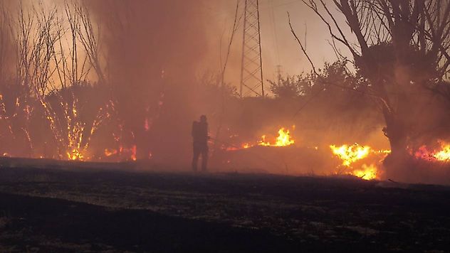 Malatya'da anız yangını korkuttu