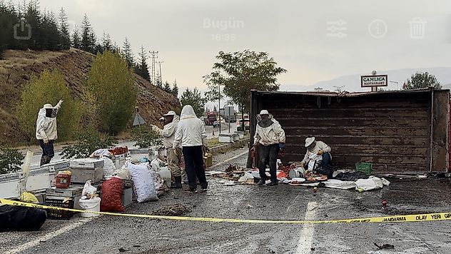 Malatya'da Arı Yüklü Kamyon Devrildi: 3 Yaralı