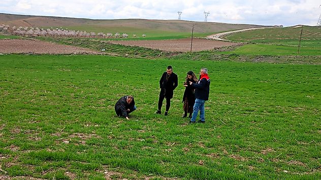 Malatya'da Buğday Tarlalarına Teknik Destek