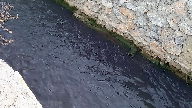 Malatya'da Çevre Endişesi: Organize Sanayi Atıkları Tohma'ya mı Akıyor?