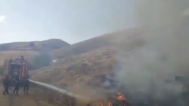 Malatya'da dağlık alanda yangın