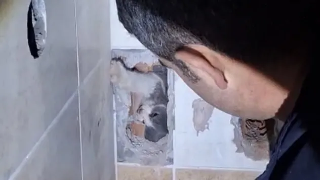 Malatya'da Duvar Arkasına Sıkışan Kedi İtfaiye Ekiplerince Kurtarıldı