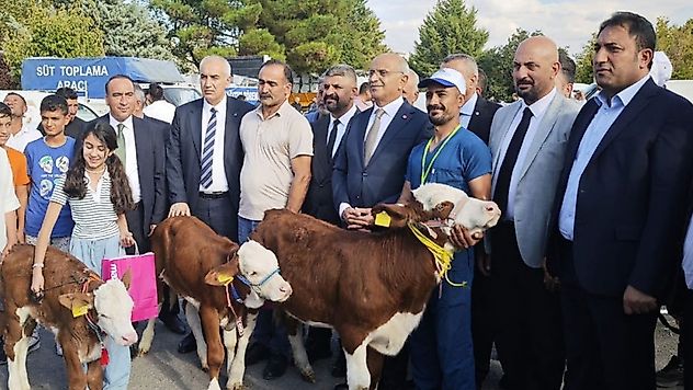 Malatya'da 'En Güzel Buzağı' yarışması düzenlendi