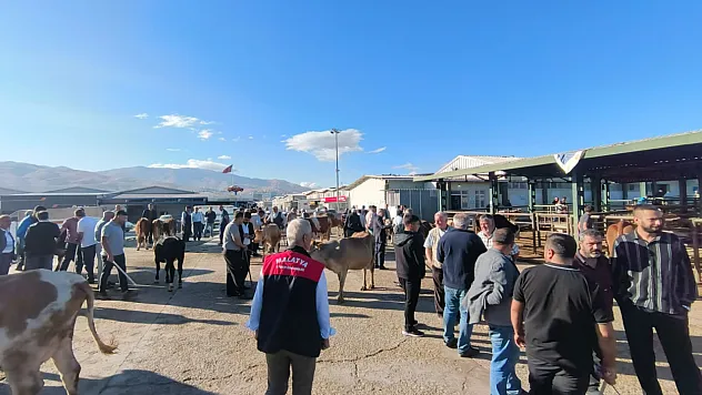 Malatya'da Hayvan Pazarı Yeniden Açıldı