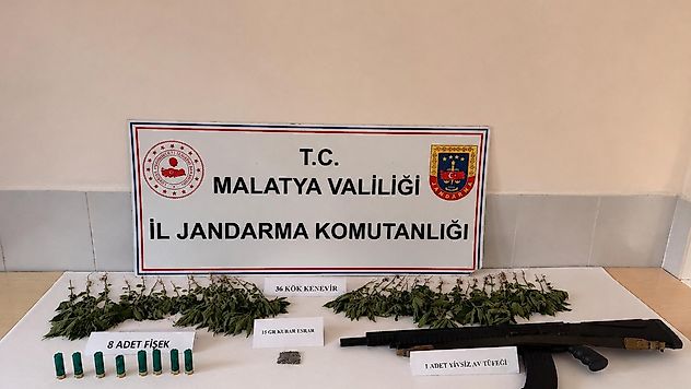 Malatya'da Jandarmadan Kenevir Baskını: 1 Kişi Tutuklandı