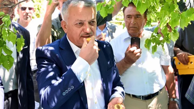 Malatya'da Kayısı Hasadı Başladı