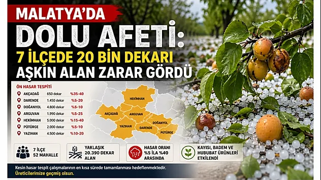 Malatya'da Kayısı Üreticisi Zor Durumda: Dolu Yağışı Rekolteyi Vurdu