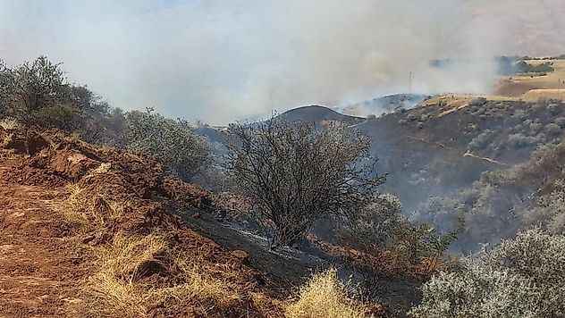 Malatya'da Kırsal Yangın Paniği: Alevler Yerleşim Yerlerine Yaklaştı