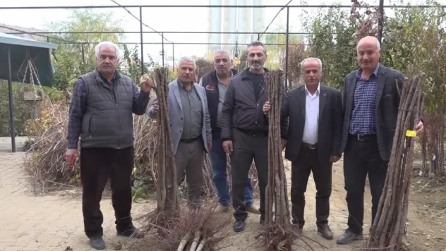 Malatya'da Meyve Fidanı Satış Sezonu Açıldı