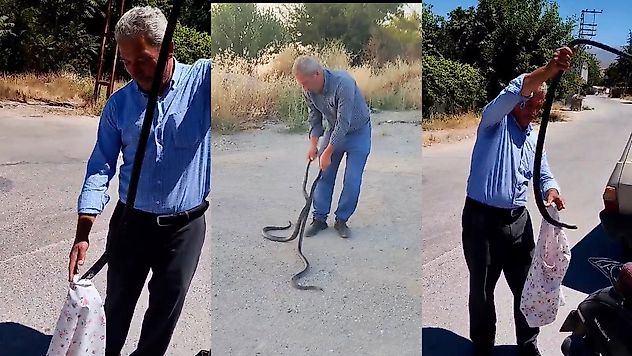 Malatya'da Nefes Kesen Anlar: Dev Kara Yılanlarını Çıplak Elle Yakaladı