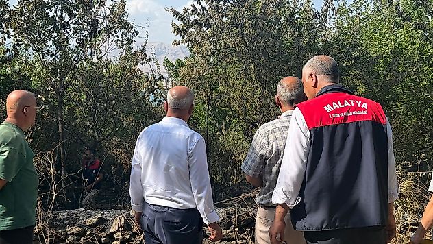 Malatya'da Peş Peşe Anız Yangınları: Tarım Arazileri Zarar Gördü