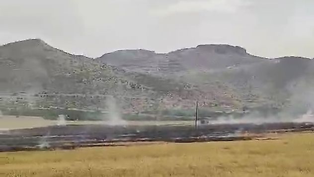 Malatya'da Tarım Alanında Yangın: Alevler Rüzgârla Yayıldı