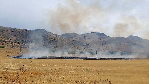 Malatya'da Tarımsal Üretim Sahasında Yangın Paniği