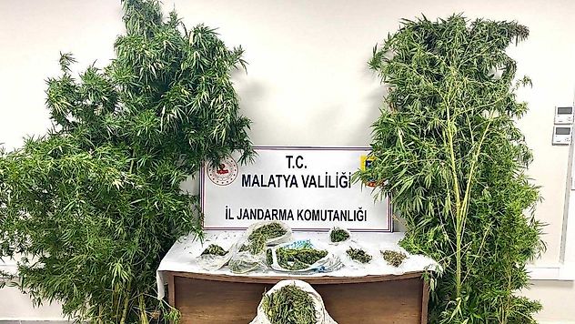 Malatya'da Uyuşturucu Operasyonlarında 16 Şüpheli Tutuklandı