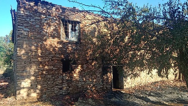 Malatya'da Yangın Felaketi: Meyve Bahçeleri ve Ormanlık Alan Zarar Gördü