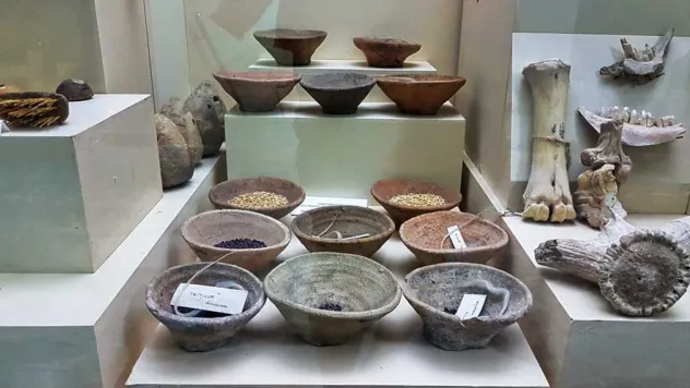 Malatya ilinin 2024 yılında müze sayısı 3'ü bakanlığa bağlı, 7'si özel olmak üzere 10'dur.