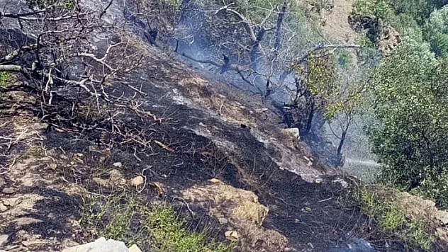 Malatya İtfaiyesi'nin bir başarısı daha