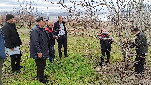 Malatya Kale'de Meyve Ağaçlarına Bilimsel Dokunuş