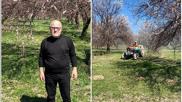 'Malatya Kayısısı Sahipsiz Değil'