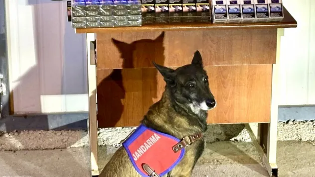 Malatya-Kayseri Yolunda Kaçak Sigara Operasyonu