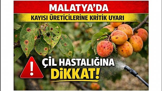 Malatya Valiliği'nden Üreticilere Uyarı: Çil Hastalığı Yayılıyor