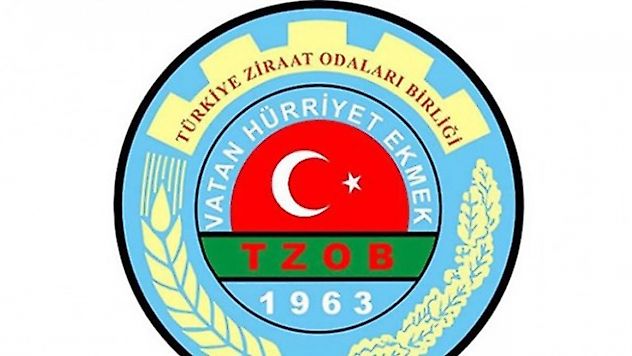 Mandalinada Rekor Fiyat Farkı: Üreticide 6 TL, Markette 30 TL