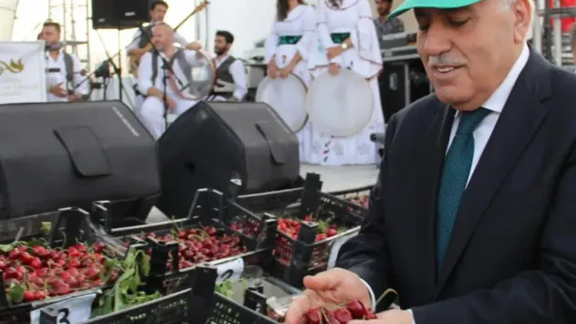 Mardin'deki Kiraz Festivali'ne STK'lardan 'israf ve duyarsızlık' tepkisi